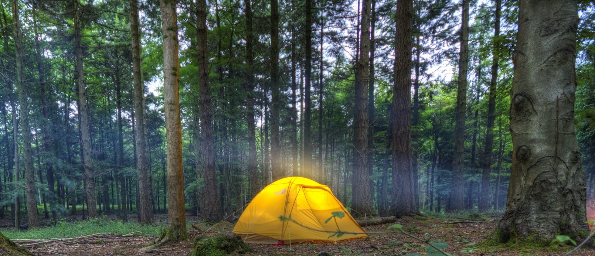 キャンプエリア